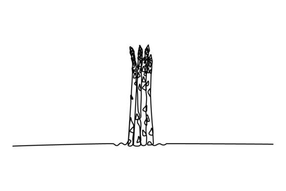Asparagus One Continuous Line