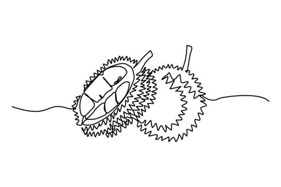 Durian One Continuous Line Design