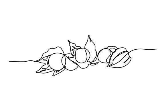 Golden Berry One Continuous Line Design for Creative and Practical Use