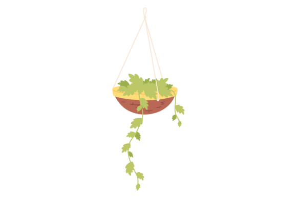 Home Botany Decoration Color Icon