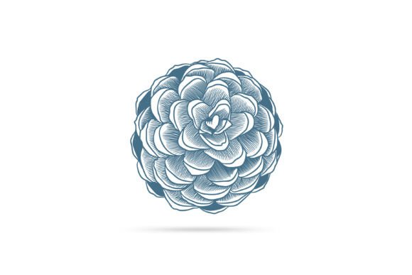 Pine Seed Illustration: A Strategic Design Element for Creative Projects