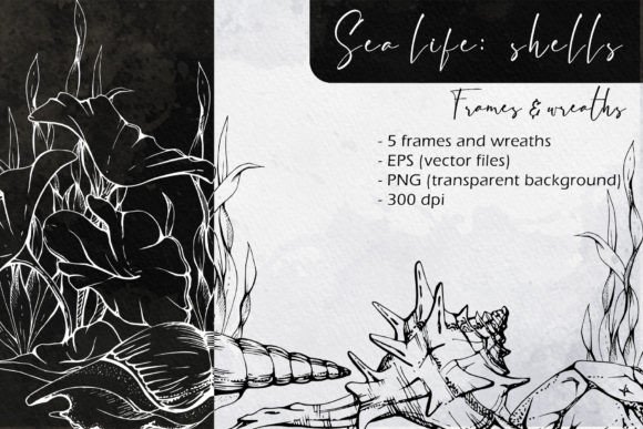 Sea Life Shells Frames and Wreaths for Creative Inspiration